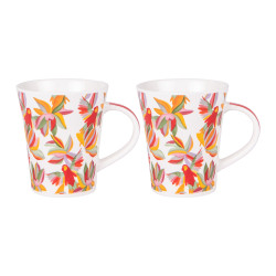 Coffret de 2 mugs Saguaro 39cl