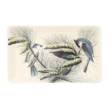 Vide Poche Porcelaine Encyclopédia Oiseaux Vert