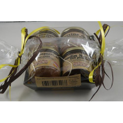 Lot découverte de 4...