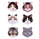 Set de 6 Dessous de Verre Chat