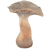 copy of Champignon Ciment 17x17x24cm