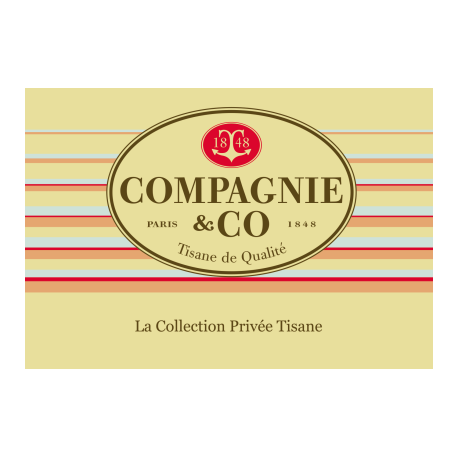 Boite Tisanes Collection Privée X24 Berlingots