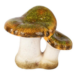 Duo Champignon Vert/Blanc...