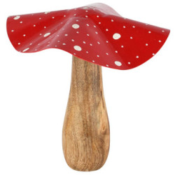 Champignon Rouge et Blanc...