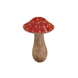 Champignon Rouge et Blanc...
