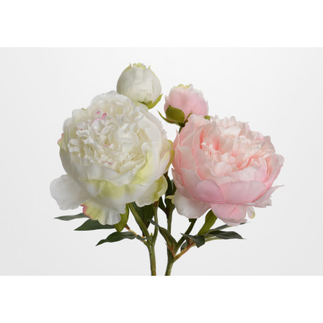Pivoine Fashion Double H55cm Rose ou Blanche