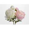Pivoine Fashion Double H55cm Rose ou Blanche