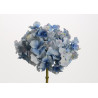 Hortensia Altona H48cm Bleue
