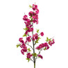 Cerisier Cerasifera H120cm Fuschia