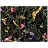 Thé Vert - Sencha Printemps - Vrac (Sachet de 100g)