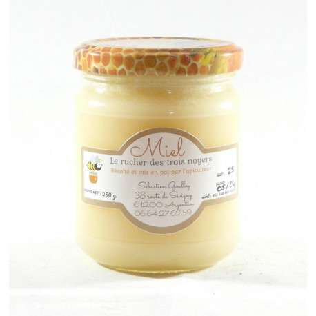 Miel de Printemps Liquide - 250g