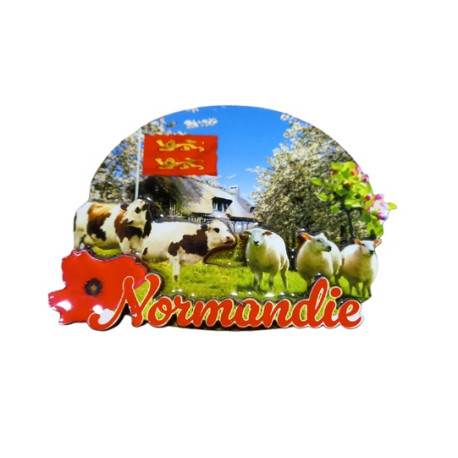 Magnet Bois Normandie Coquelicots