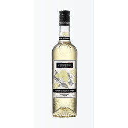 Crème de Fleur de Sureau 70cL