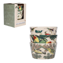 Lot de 3 Bols Apéro Encyclopedia Oiseau Vert